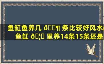 鱼缸鱼养几 🐶 条比较好风水(鱼缸 🦟 里养14条15条还是16条)